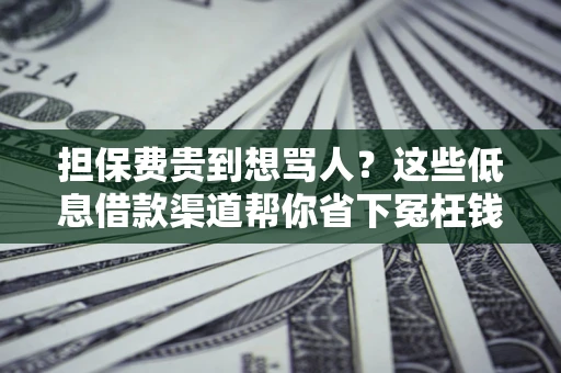 济南担保费贵到想骂人？这些低息借款渠道帮你省下冤枉钱