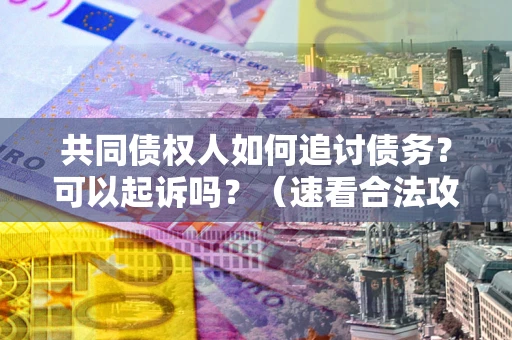 济南共同债权人如何追讨债务？可以起诉吗？（速看合法攻略）
