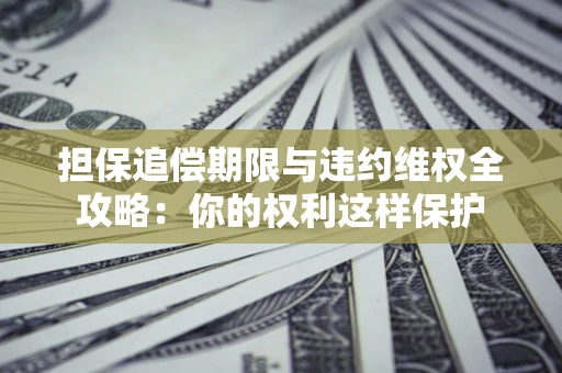 济南担保追偿期限与违约维权全攻略：你的权利这样保护